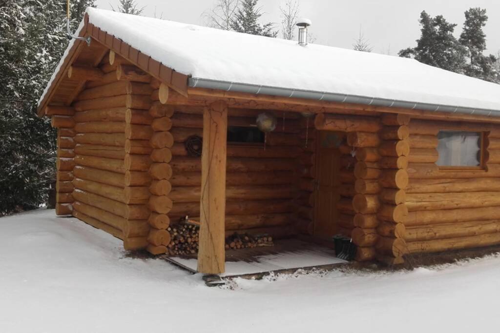 Pialous:Chalet En Rondins Avec Espace Detente La Chapelle-d'Aurec Exterior foto